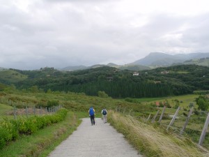緑豊かな風景が展開する