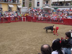 闘牛士と牡牛の真剣な駆け引き