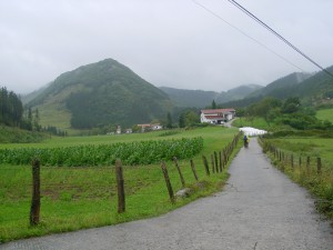 周囲に数軒の農家しか見当たらないオラツにもタベルナ(バルの奥を仕切ってレストランにしている)が