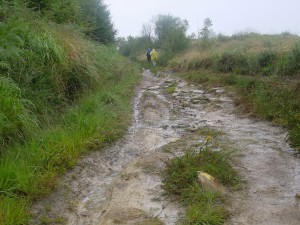 黄色の矢印に導かれて進む