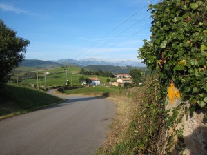 遠方にカンタブリア山脈