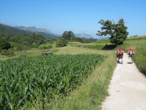 左手にカンタブリア山脈