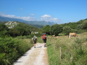 前方にカンタブリア山脈