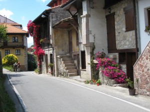 道沿いの民家に咲き誇る花