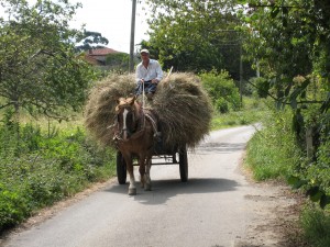 干し草を積んだ荷馬車