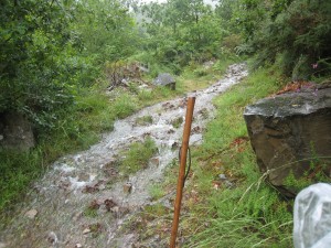 降雨が小道を流れる