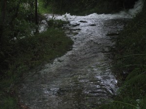 小道に激流が押し寄せていた 写真で見ると、突破できたのではとの思いもするが