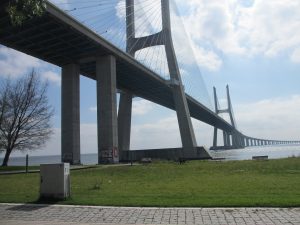 道標には黄色い矢印(サンティアゴ)と青い矢印(ファティマ)が