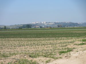 丘の上にサンタレンの町