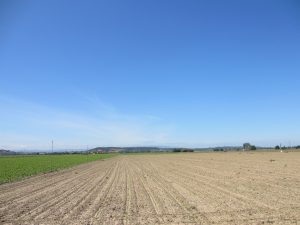 日本のように細かく区画された畑などは見かけない