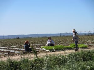 畑で一息ついている農民