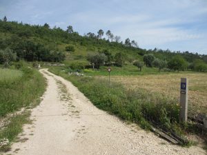 ”巡礼の道” 風景