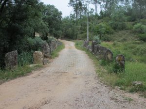ポンテ・ペニシェでオリーブ園を通って中世の石橋を渡った。もう少し横から写したほうが、橋と分かったのだが。橋の上の道は石畳だった。