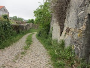 オウティリノで