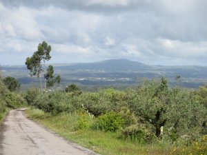 下り坂の前方に広々した景色が展開した