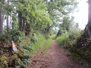 巡礼の道 黄色の矢印(サンティアゴ)と青色の矢印(ファティマ)