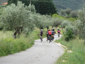 自転車による巡礼グループが小生を追い越していった